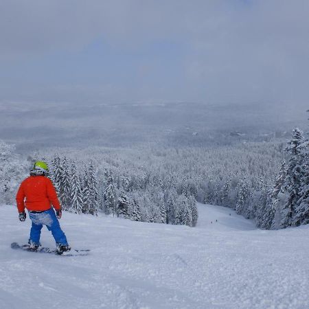 Borovets Apartment, Villa Park Екстер'єр фото